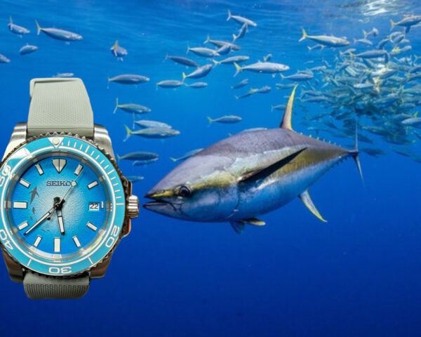 Seiko blue/white Tuna Fisher dial Mod #2500123 - Image 11