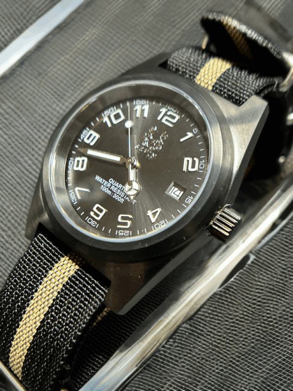 Sevin Black Sunburst Dial Swiss Quartz